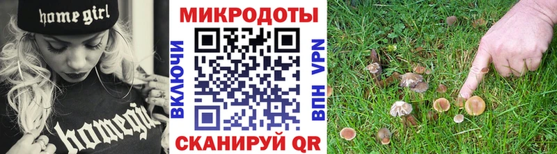 Псилоцибиновые грибы мухоморы  Талица 